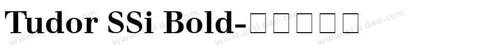 Tudor SSi Bold字体转换